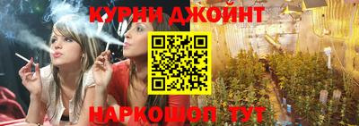 ALPHA PVP Гатчина