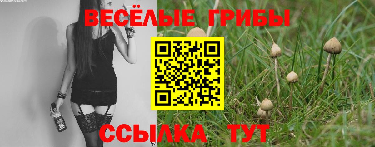 Белово  Галлюциногенные грибы GOLDEN TEACHER  закладки  Вход с VPN 